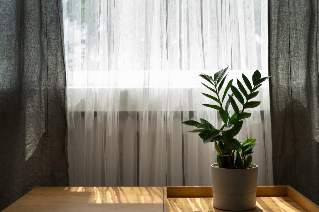 Curtains For Your Home